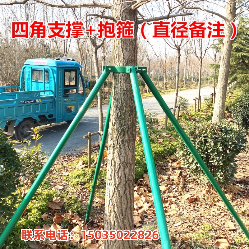 绿化钢管树木支撑架大树支撑杆园林防风树苗支架树撑园艺固定器