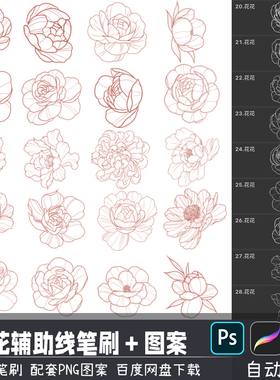花朵植物花卉造型辅助线稿PS/SAI2笔刷procreate画笔PNG图案素材