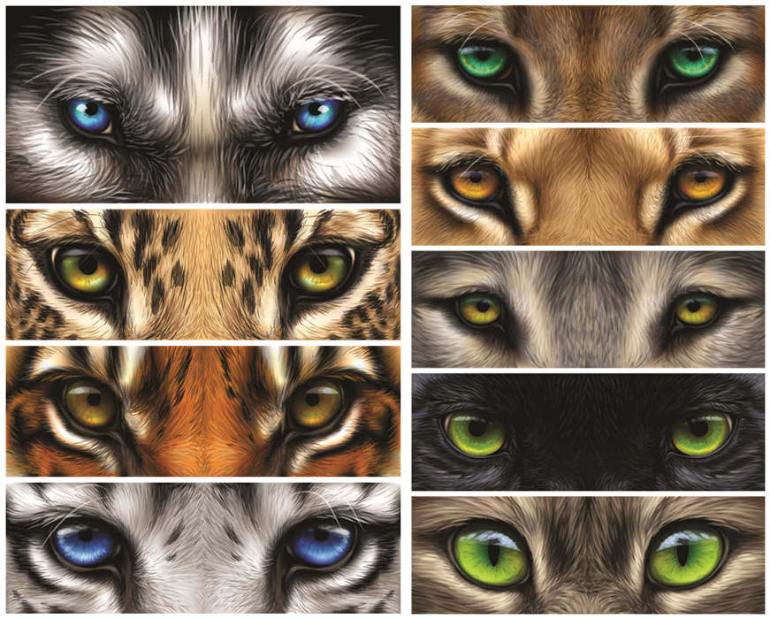 A0439矢量AI设计素材 老虎狼豹子动物眼睛图案
