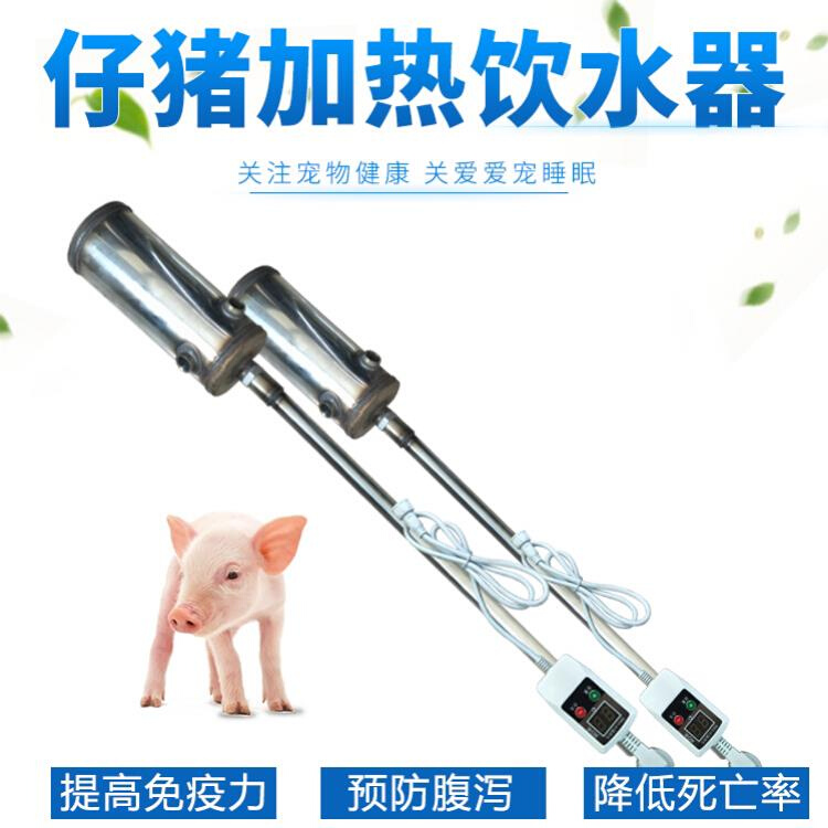 母猪用自动恒温加热饮水器仔猪保育猪母猪恒温饮水器猪用饮水器