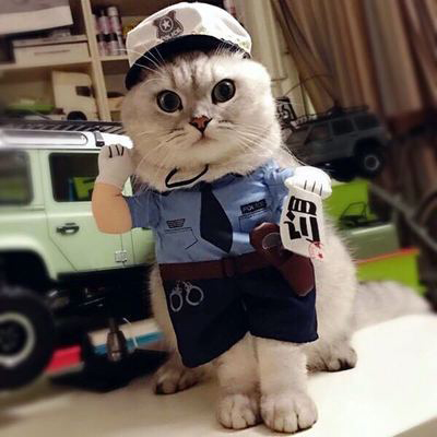 猫咪警察搞笑衣服直立装搞怪开罚单泰迪狗狗变身宠物两脚站立装