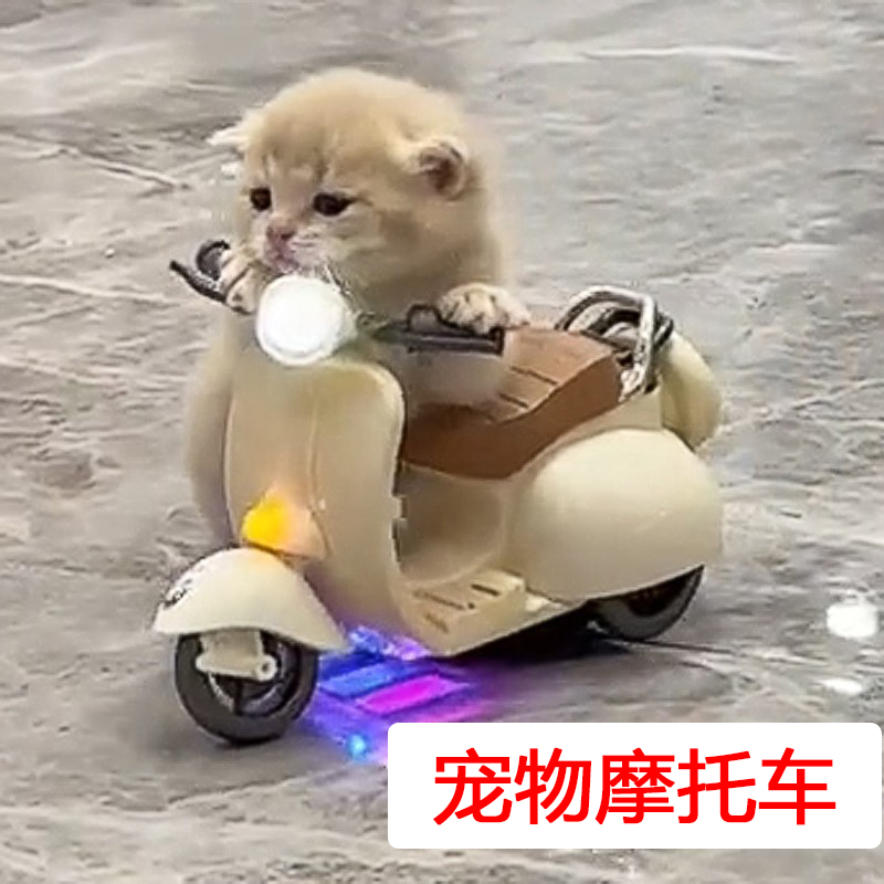 猫咪小车玩具摩托车迷你电动车旋转宠物摩托车仓鼠通用车宠物车