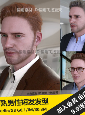 DAZ3D Studio 精品真实帅气中年男性成熟短发头发发型 3d模型素材