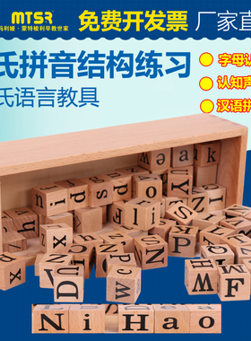 蒙氏语文教具拼音结构练习 蒙台梭利 益智玩具26个字母语言英语