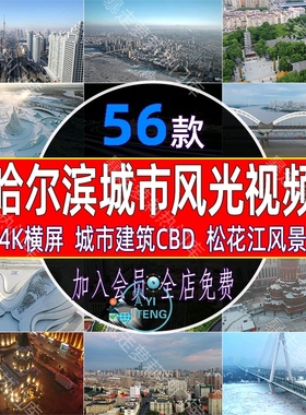 4K哈尔滨城市风光视频建筑CBD松花江圣索菲亚大教堂剧院冰灯素材