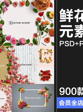 简约花卉鲜花花朵聚焦场景边框背景摆设元素PNG免扣素材PSD模板
