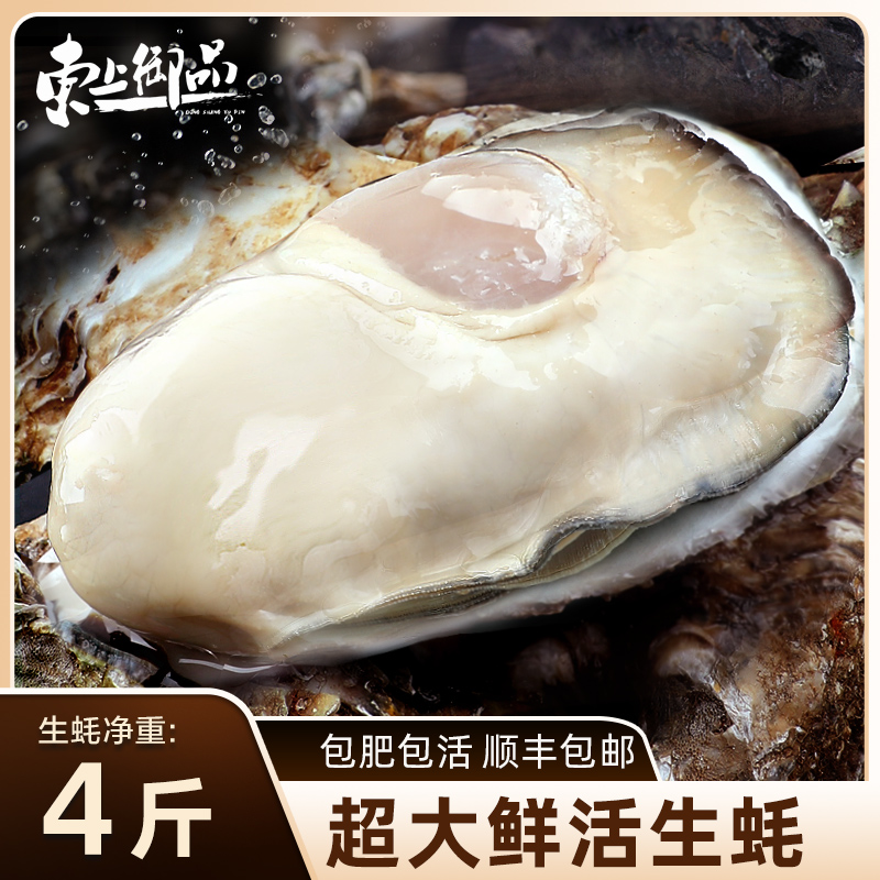 【直播推荐】东上御品乳山生蚝鲜活新鲜海蛎子海鲜特大牡蛎贝壳肉
