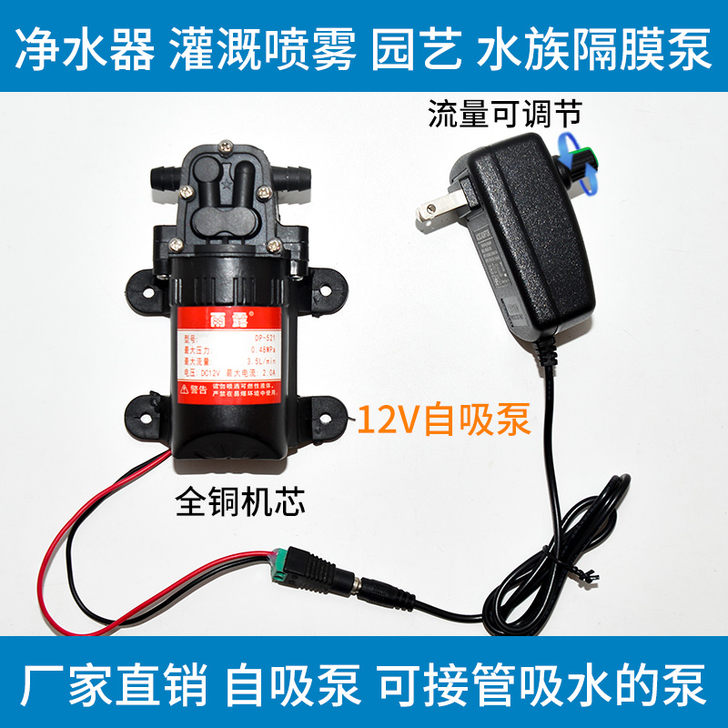 220V电动喷雾器水泵高压隔膜泵12v电机小型大功率家用自吸泵农用