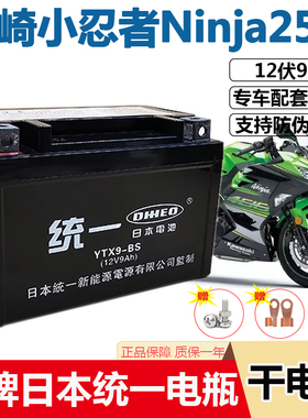 摩托车干电瓶川崎小忍者Ninja250 300 400 600ZX-6R Z400CC蓄电池