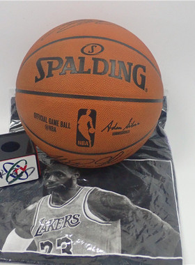 NBA官方用球斯伯丁洛杉矶湖人 詹姆斯 魔术师约翰逊 亲笔双签篮球