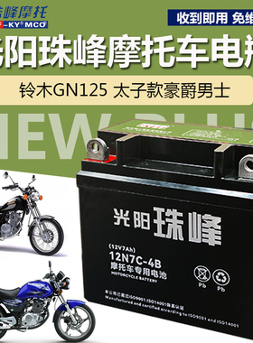 适用豪爵玲 木摩托车电瓶太子GN125 HJ125-8男士免维护珠峰蓄电池