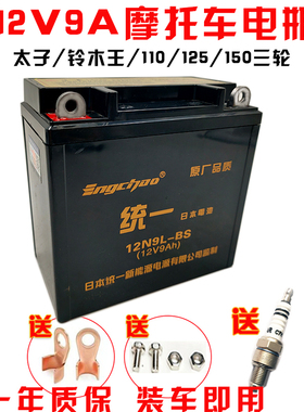 钱江摩托车配件 钱江龙QJ150-19A/19C蓝宝龙电瓶12V7A电池免维护