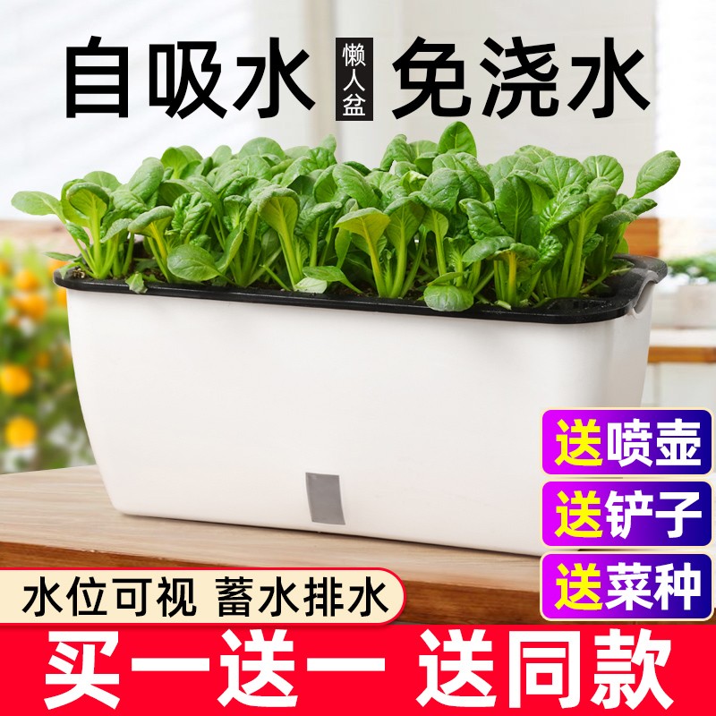 种菜神器花盆栽蔬菜种植箱家庭阳台塑料自吸水懒人长方形专用箱大