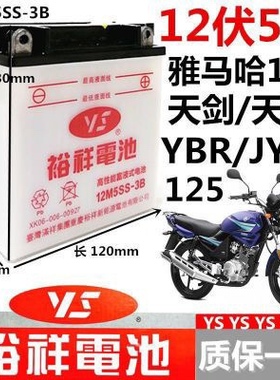 雅马哈125天剑天戟JYM/YBR裕祥电瓶摩托车全新蓄电池12M5S-3b弯梁