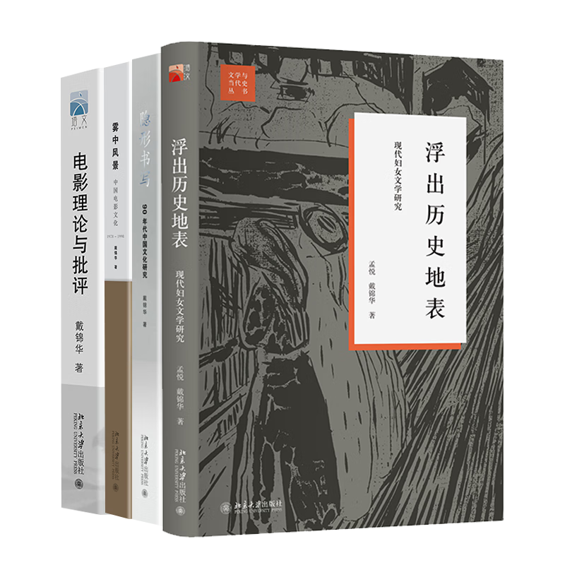 戴锦华老师的作品集全4册 隐形书写 雾中风景 电影理论与批评 浮出历史地表 90年代中国文化研究 北京大学出版社当代妇女文学经典