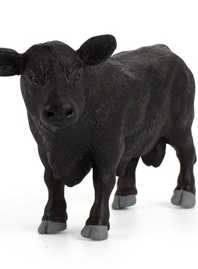 跨境动物世界黑安格斯公牛模型仿真耗牛肉用牛牧场养殖趣味摆件