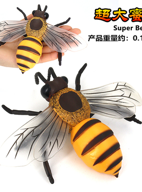仿真昆虫超大蜜蜂模型玩具大黄蜂塑胶标本胡蜂儿童科教育认知礼物
