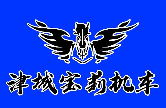 津城机车会 马图腾摩托车俱乐部 带编号名字翅膀火焰反光车贴纸