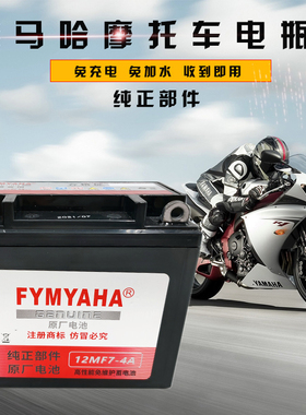 YTX5L-BS电瓶12V免维护巧格i飞致150福喜AS125喜悦踏板摩托车电池
