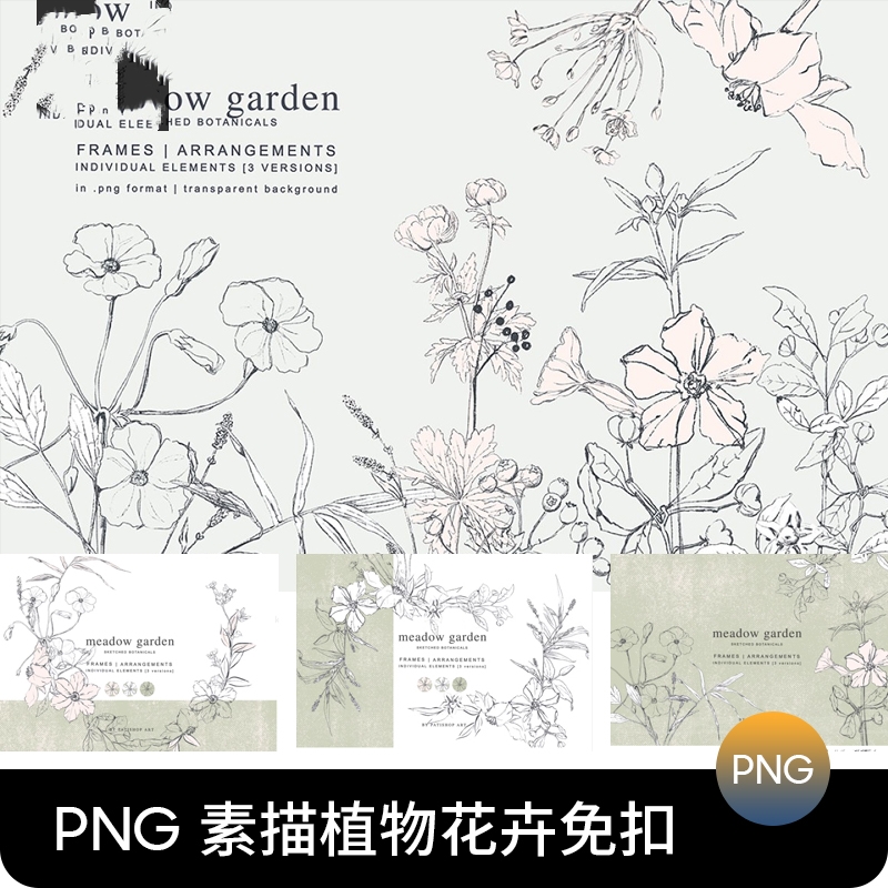 手绘铅笔素描线艺术花卉植物线稿草本包装元素免抠PNG图片素材PS