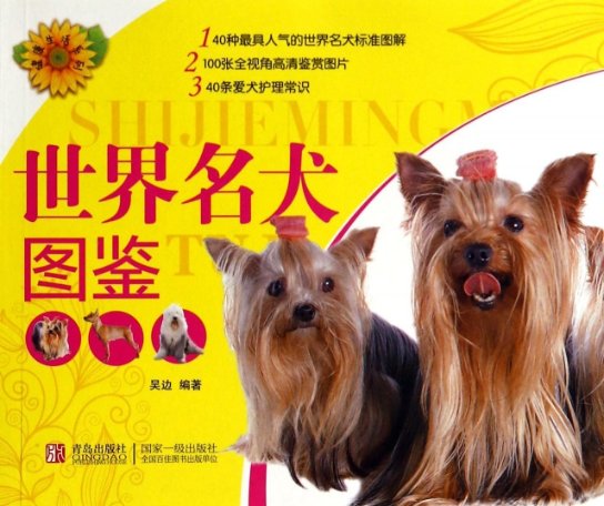 【正版包邮】 世界名犬图鉴/健康生活系列 吴边 青岛