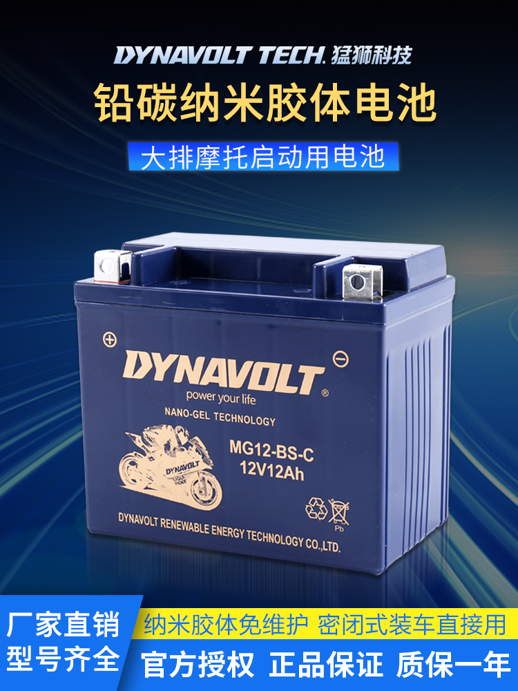 猛狮摩托车电瓶YTX9-BS GW250黄龙600/300光阳250贝纳利12v蓄电池