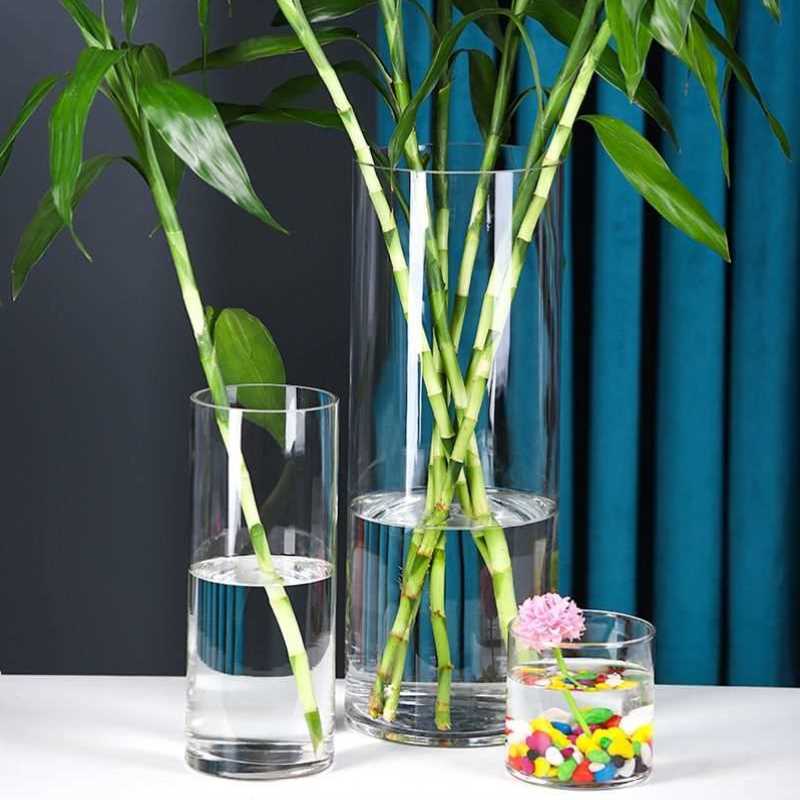 富贵竹专用花瓶竹子观音竹养花透明玻璃瓶高花屏瓶插花长枝百合花