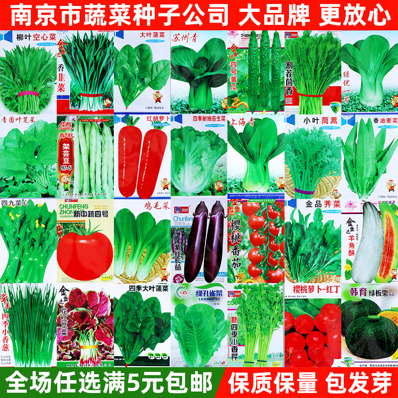 蔬菜种子四季播种菜园盆栽阳台香菜菠菜生菜萝卜蔬菜种籽种孑大全