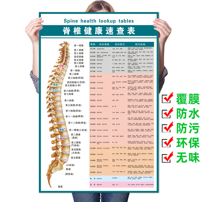脊椎健康速查表人体脊柱相纸疾病示意图中医养生医学健康挂图海报