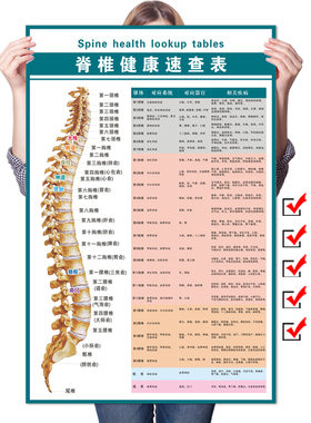 脊椎健康速查表人体脊柱相纸疾病示意图中医养生医学健康挂图海报
