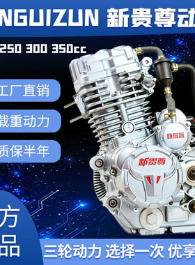 新贵尊宗申隆鑫原厂重载水冷200 250 300 350摩托车三轮车发动机