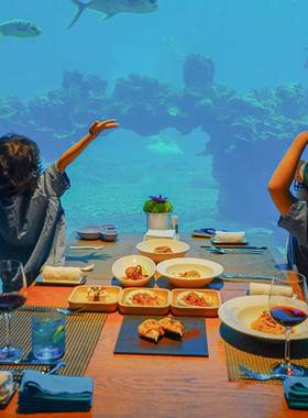 618 暑期可用 三亚海棠湾洲际酒店 涛·海底餐厅单人自助晚餐