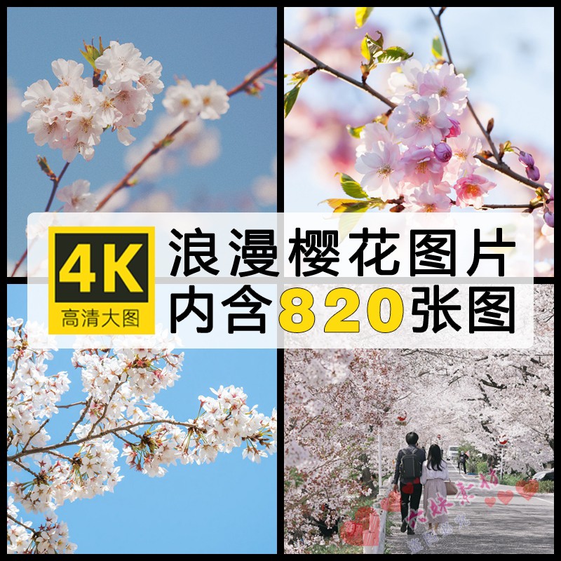 高清4K竖图片日系浪漫樱花树花朵自媒体PS设计画手机电脑壁纸素材