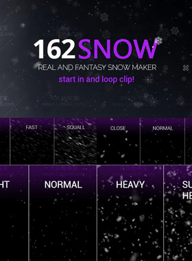 视频素材-162种真实下雪冬季雪花飘落叠加视频素材 Snow