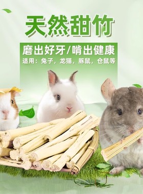 兔子林--兔子龙猫小宠磨牙效果佳 高纤维磨牙咬木枝甜竹大包 健康