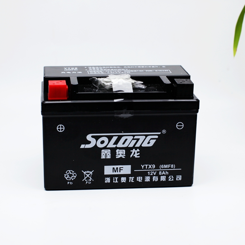 厂家GSX鑫奥30 GW250 电瓶充电器龙摩托车L 理士0 R30DCX锂电池0D