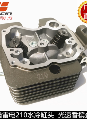 隆鑫原厂晶耐雷电三轮摩托车200 250 300发动机气缸头总成热卖