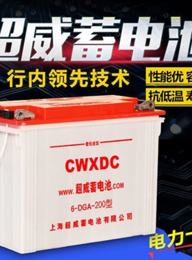上海水电瓶6GD220型300型400型电动三轮四轮工程车铅酸蓄电池