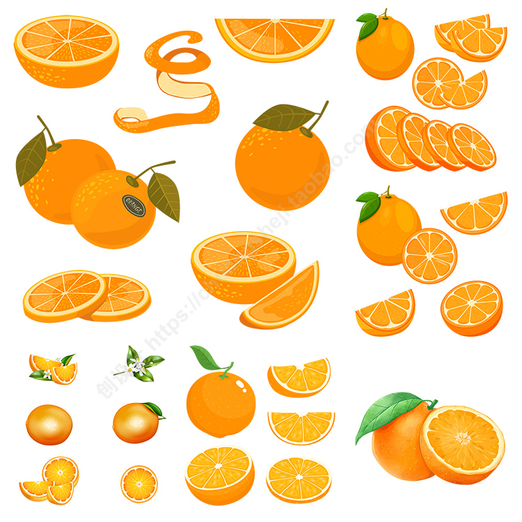橙子插画 手绘卡通柳丁柑子水果切面图标 AI格式矢量设计素材