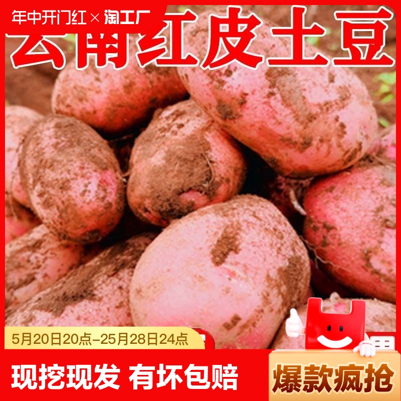 云南新鲜红皮黄心大土豆10斤包邮2024新农家红洋芋蔬菜批发马铃薯