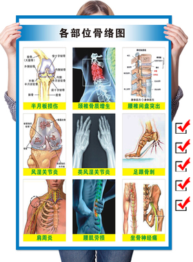 医院人体各部位骨络图挂图肌肉骨骼结构解剖图腰颈椎脊柱医学海报