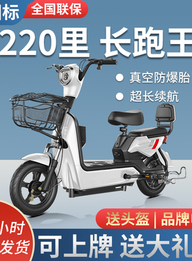 2024新款新国标电动车女士成人代步可上牌电瓶自行车爱玛小刀同款