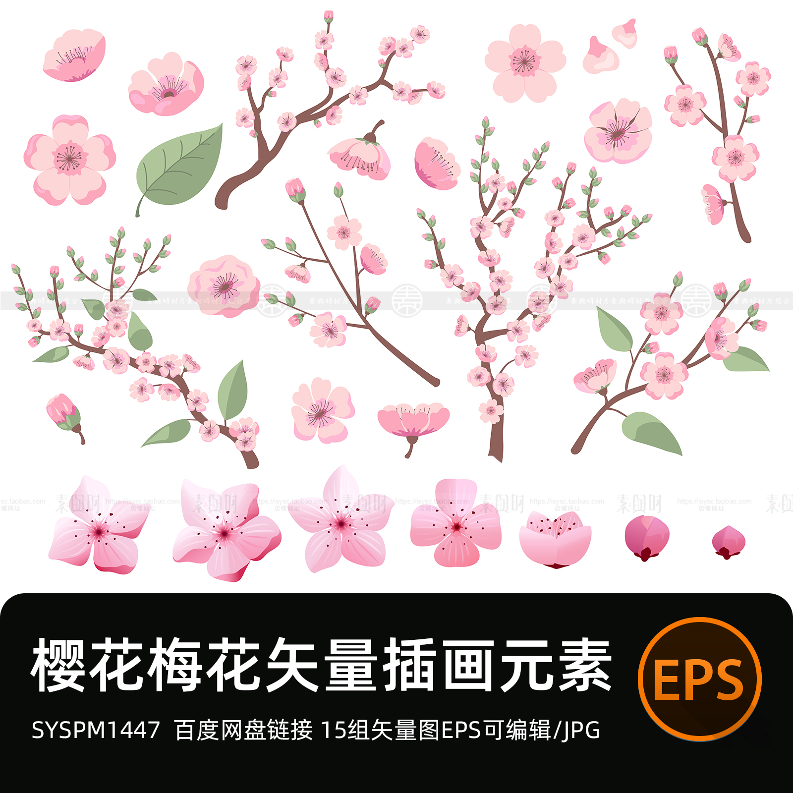 樱花梅花线稿手绘海报插画漫画绘花朵花卉樱花枝矢量图设计素材