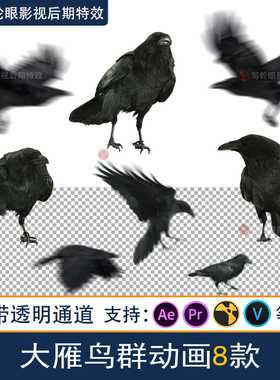 影视乌鸦三维动画视频素材放飞乌鸦群飞翔MOV带透明通道alpha