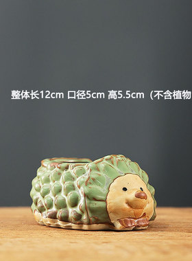 小乌龟可爱多肉花盆手绘创意家用陶土透气动物粗陶陶瓷盆特价清仓