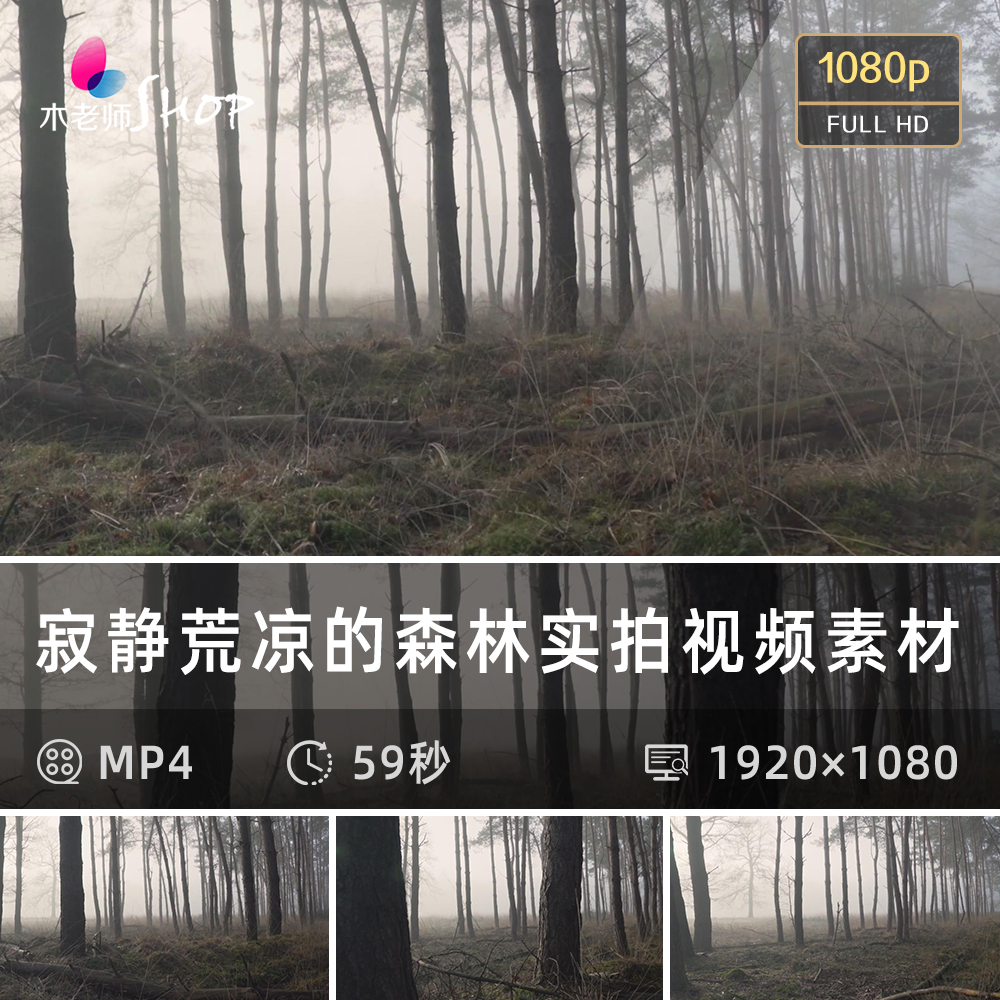 寂静荒凉的森林实拍视频素材薄雾路段古老丛林阴森隐秘的树林干枯