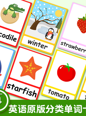 国外原版英语单词卡日常常用分类字母动食物颜色教学塑封防水大卡