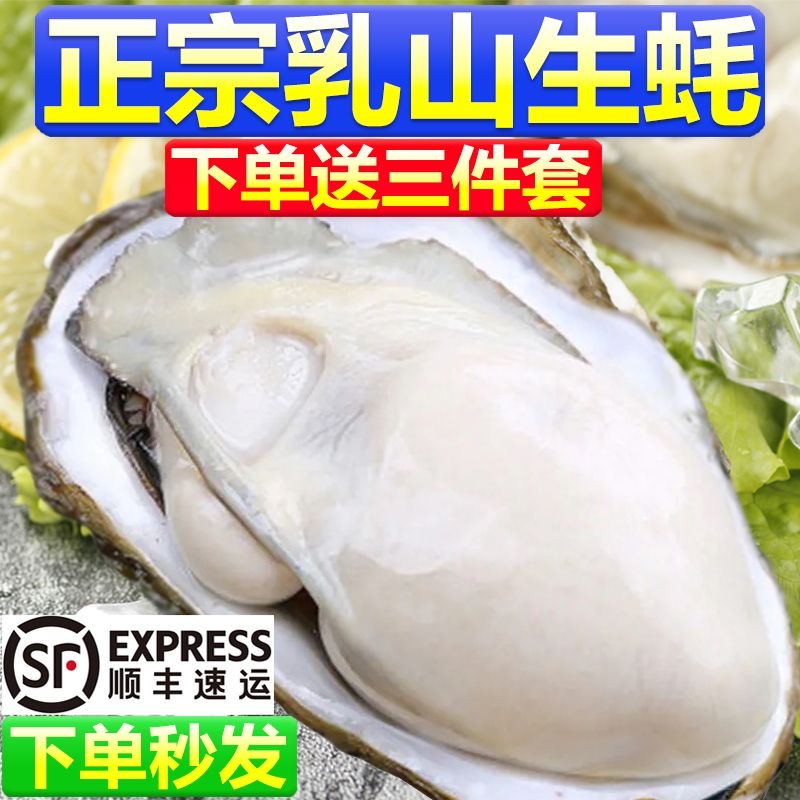 特大乳山生蚝鲜活新鲜海蛎子带箱海鲜超大牡蛎贝壳即食水产