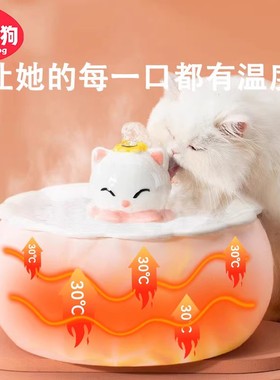 猫咪自动饮水机恒温加热陶瓷饮水器宠物自动喂水狗水盆流动喝水器