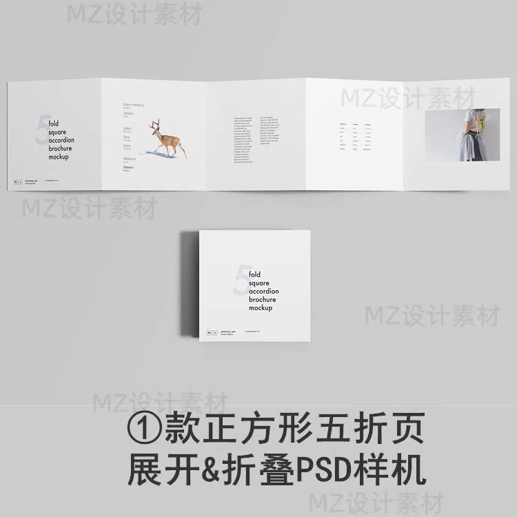 五折页正方形手风琴折叠宣传册设计效果图psd样机贴图vi模板素材